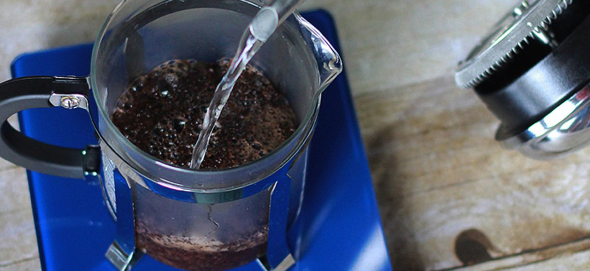 French Press Coffee Brew Guide | Learn How to Use a French Press