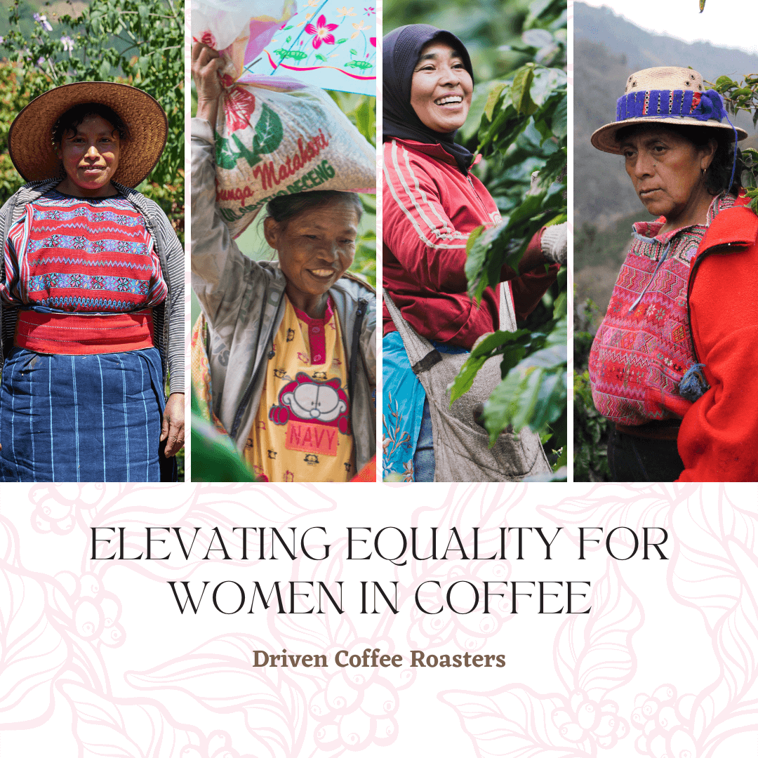 Elevating Equality for Women in Coffee