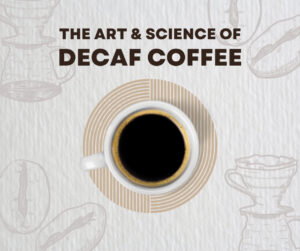 Americano Decaf Coffee Pods